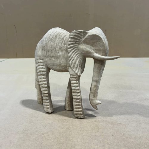 472816872_1189061853022190_6949554469590876520_n